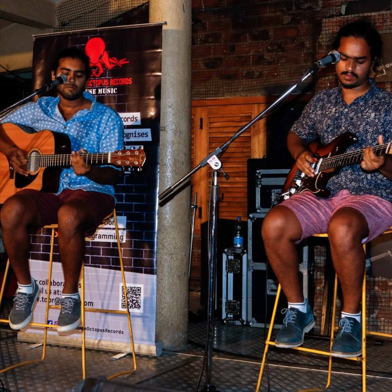 The Rao Brothers, a singer-songwriter duo, performs at an Orange Octopus event in 2018