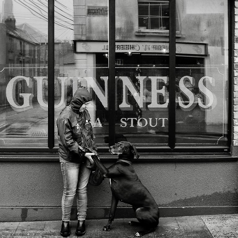 "Coming in for a Pint, Wexford" by Darren Arkins