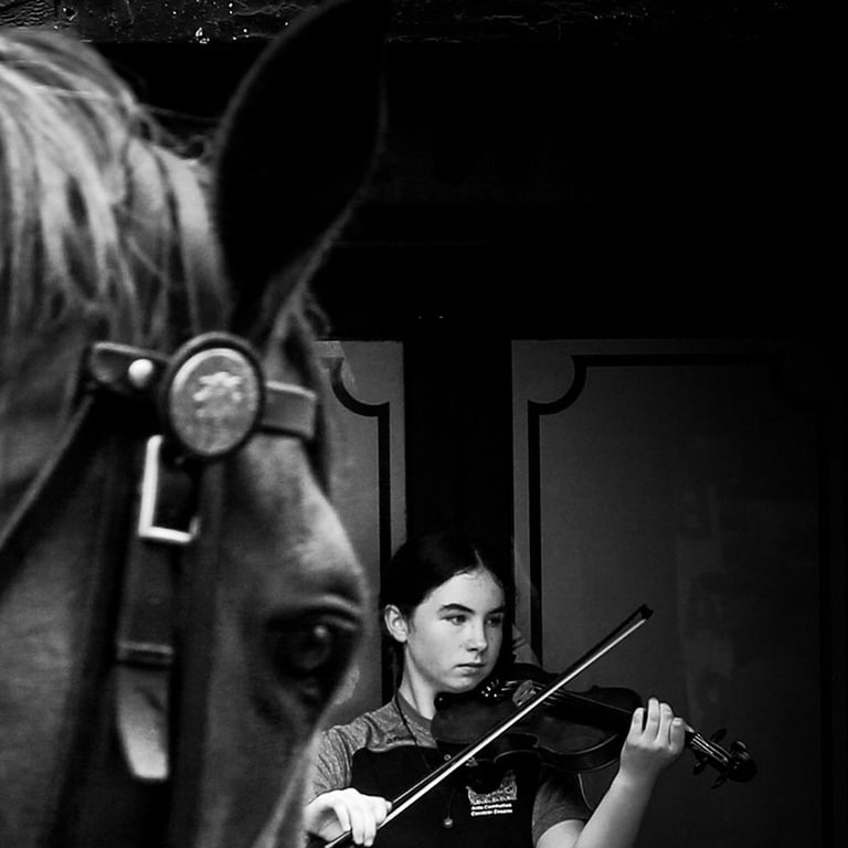 "Fiddle at the Fleadh 2024" by Darren Arkins