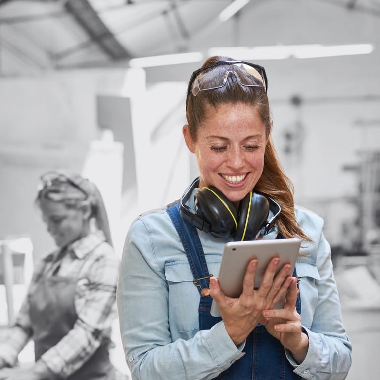 Small business owners - affordable accounting package - Bare Bones accountant