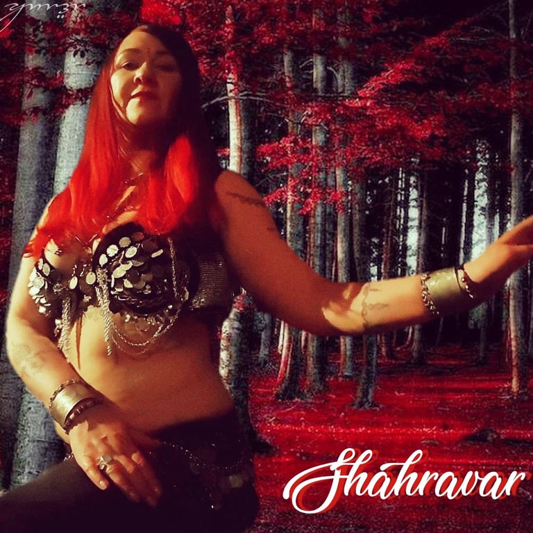 Dramatic bellydancer Shahravar wearing coin costume