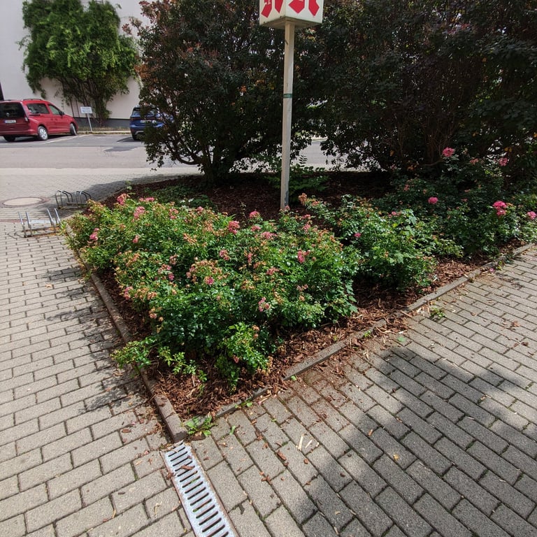 Grünpflege & Gartenarbeit