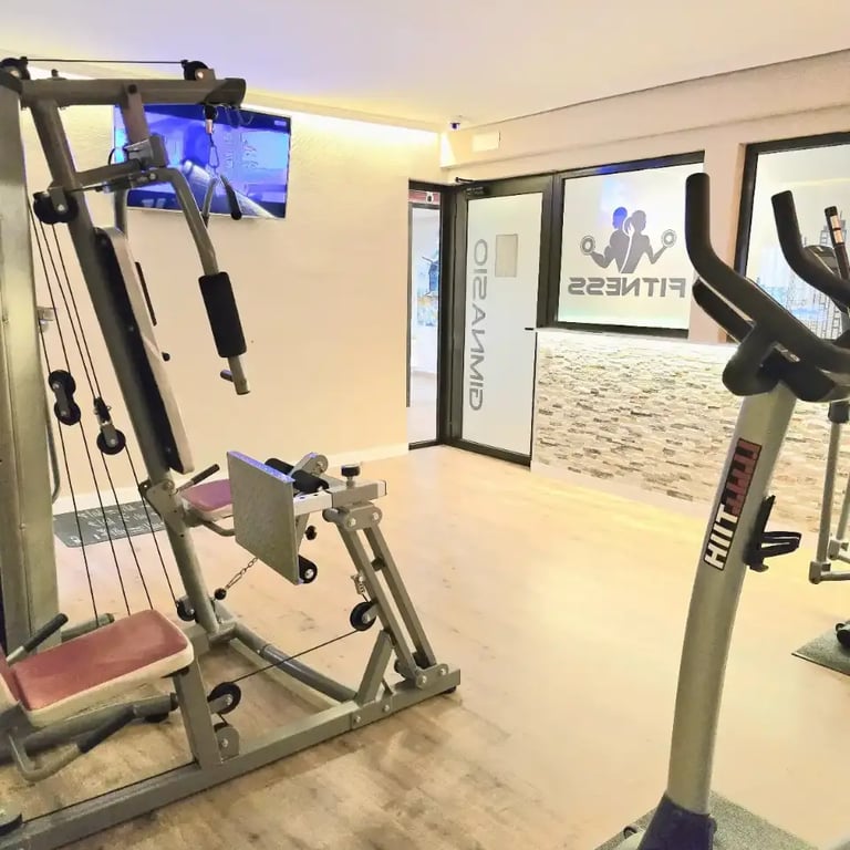 gimnasio-hotel-castilla-fuenlabrada