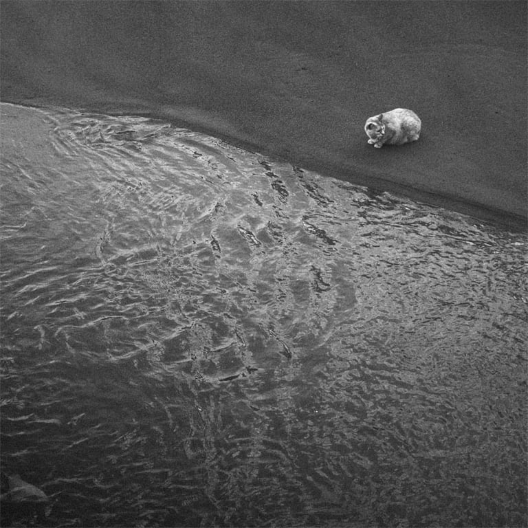 © juergen mack photography - la gata