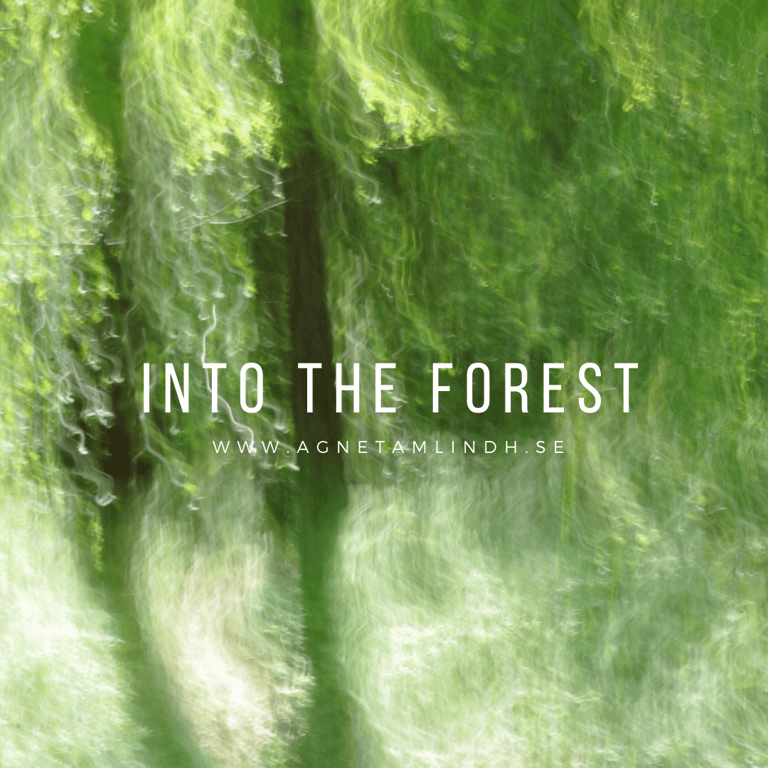 intentional camera movement green forest image
