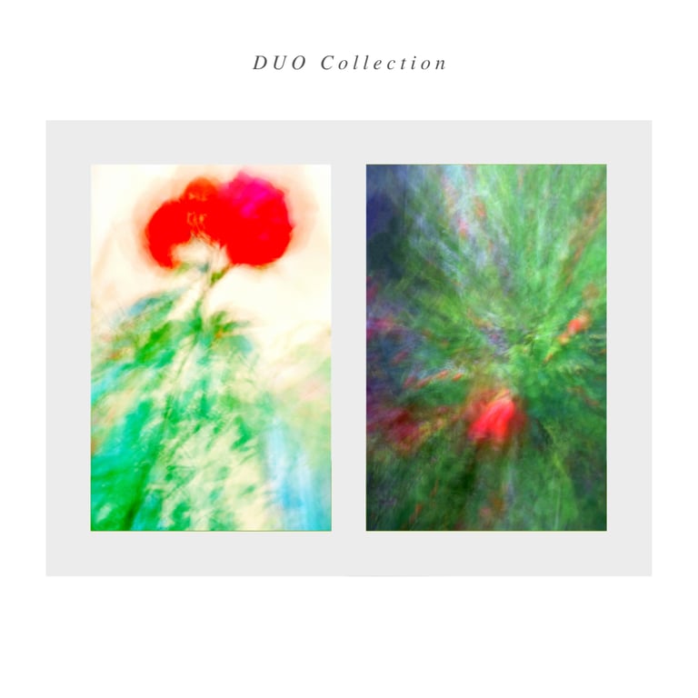 two pictures of a flower and a rose bush ICM