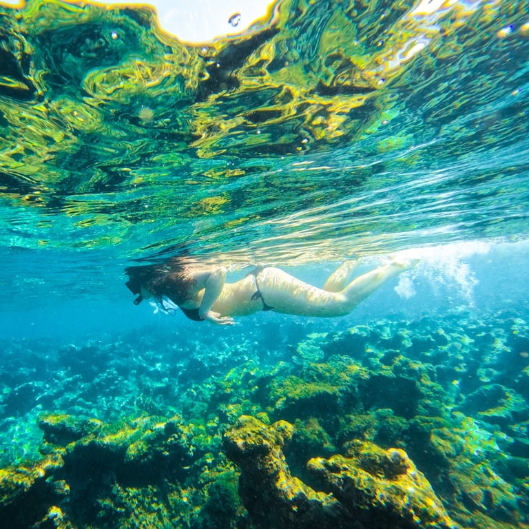 a woman swimming in the ocean with a camera