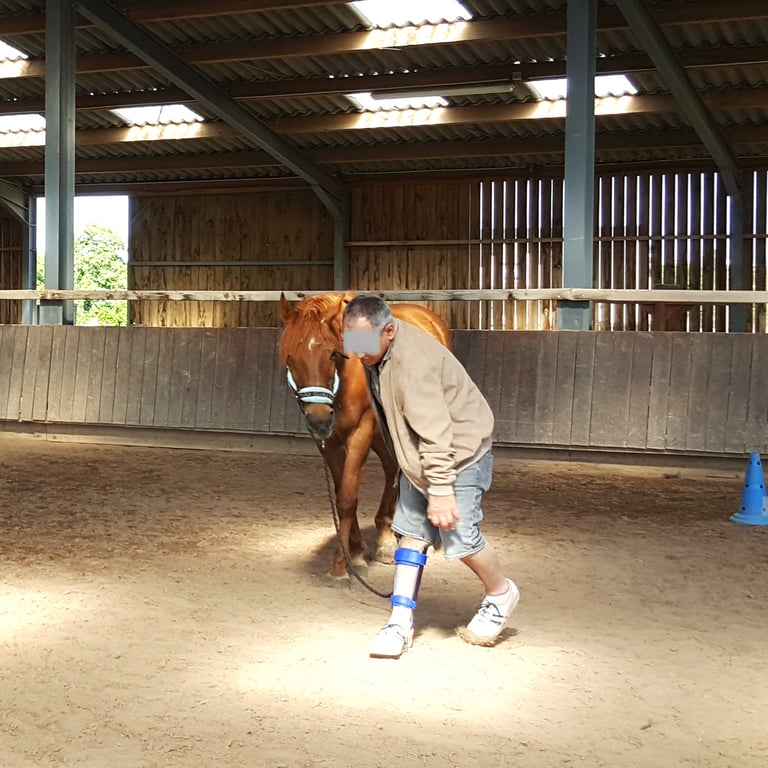 Personne handicapé moteur marche avec son cheval lors d'une séance d'équithérapie