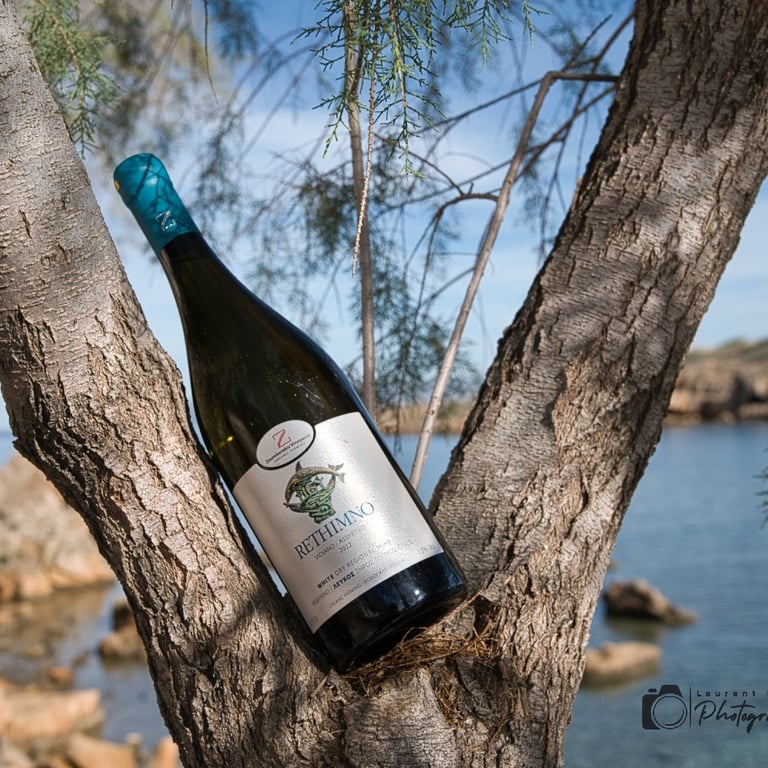 bouteille de vin zoumberakis rethimno posée sur un arbre la canée avec mer en fond