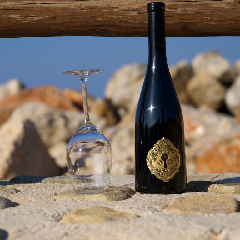 bouteille de vin siva daskalaki posée sur mur
