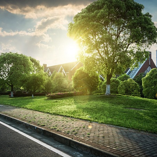 Real-Estate-Photo-Editing-Lawn-Replacement