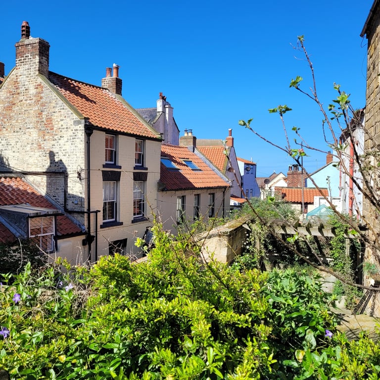View from SAAC garden