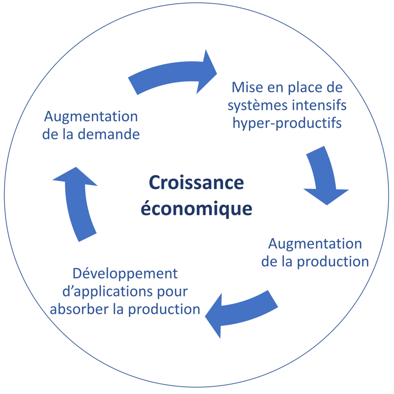 Illustration du cercle vicieux induit par la croissance économique