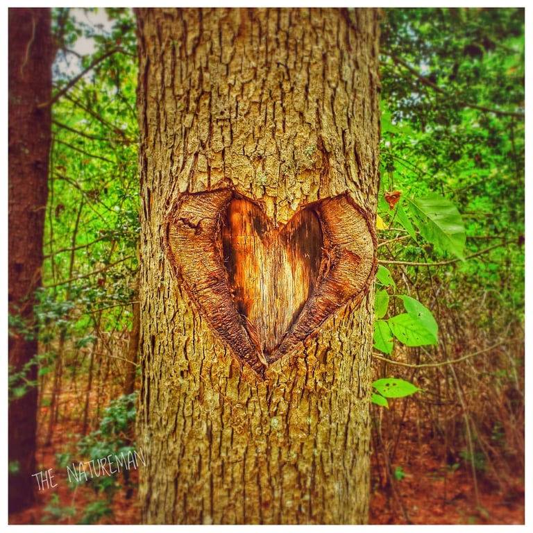 Love Poem Tree with Heart