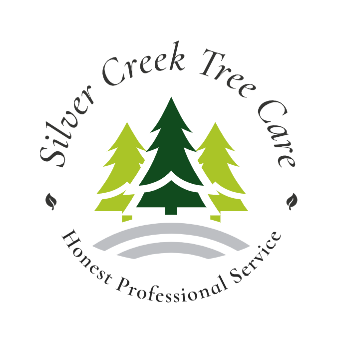 Silver Creek Tree Care, honest professional service, trees