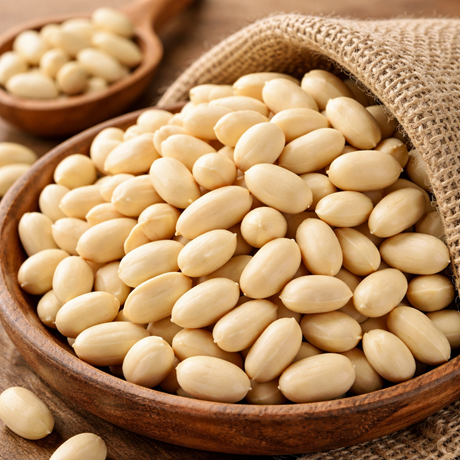 Blanched peanuts supplier India – sortex cleaned kernels for confectionery and bakery export