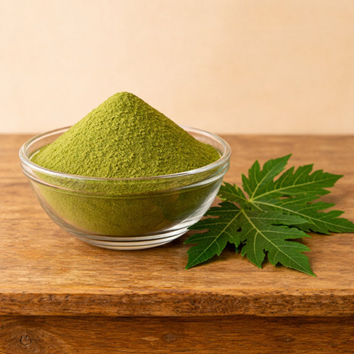 Export quality papaya leaves powder packed in food grade packaging for international market