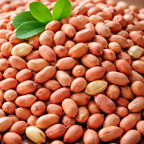 Raw peanut kernels exporter India – bold and java peanuts for bulk food industry supply
