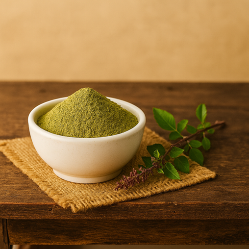 Export quality Tulsi powder available in food grade drums for international markets