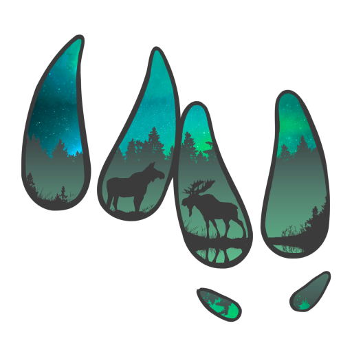 a group of four different types of animals in the woods