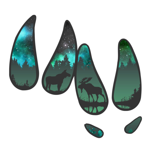 a group of four different types of animals in the woods