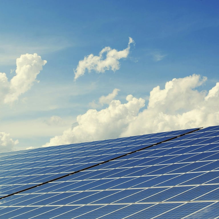 Sustainability consulting with sustainable procurement, zero waste, and sustainability training