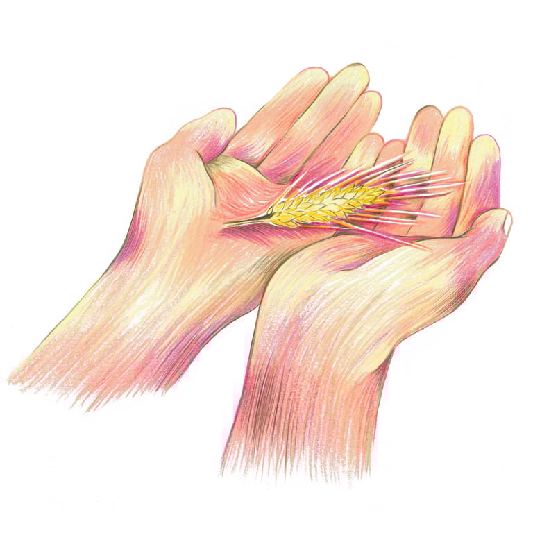 a hand holding a flower in a hand