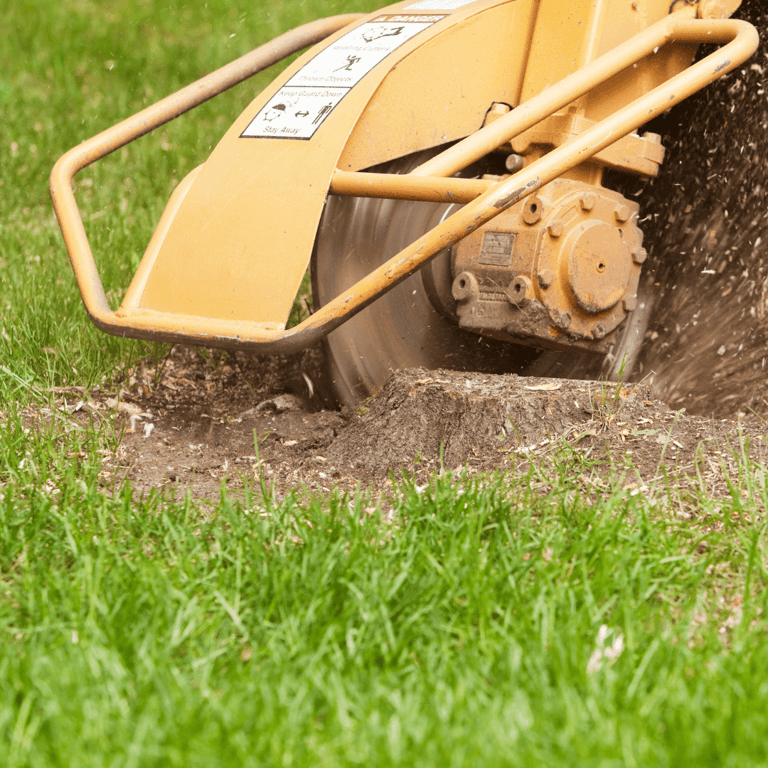 Stump Grinding