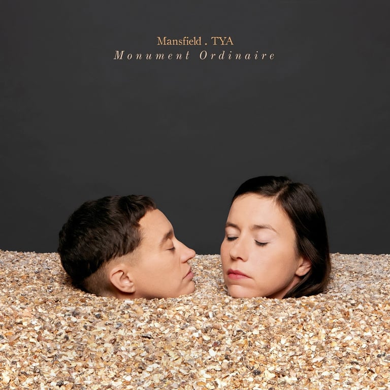 Mansfield TYA Monument Ordinaire cover album