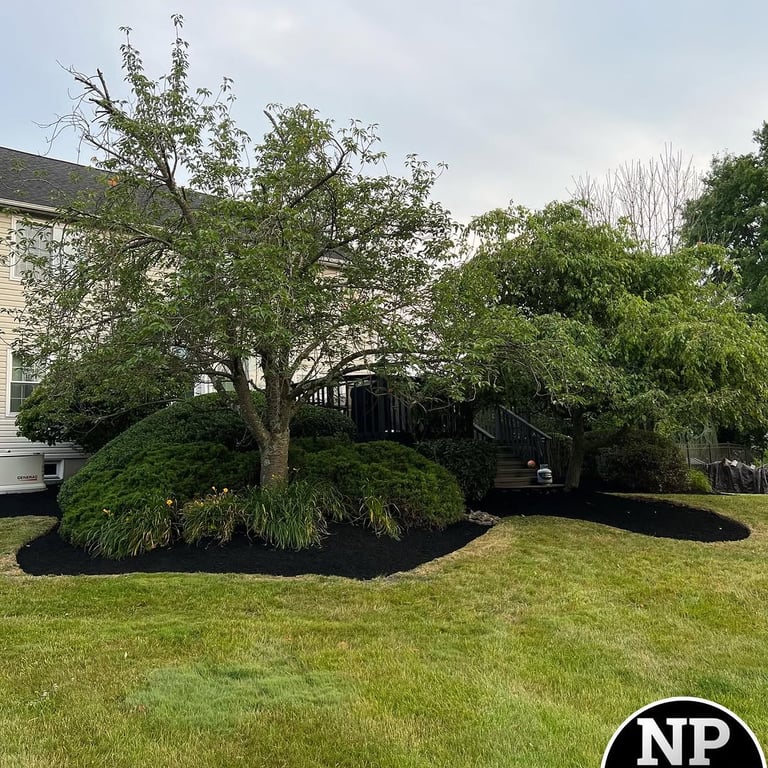 excellent landscaping and hardscaping of grass, stones and trees by NP Landscaping
