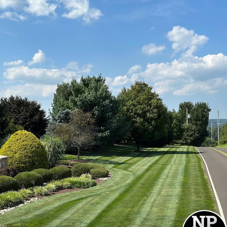 excellent landscaping and hardscaping of grass, stones and trees by NP Landscaping