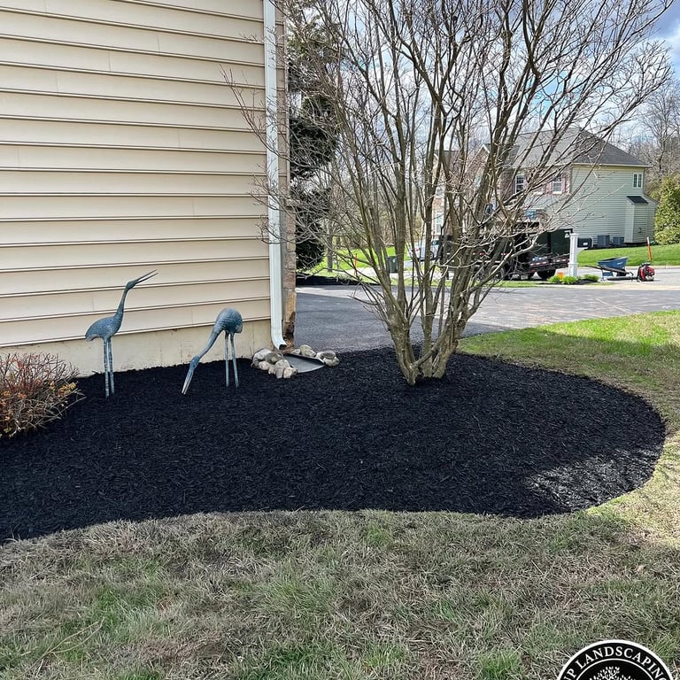 excellent landscaping and hardscaping of grass, stones and trees by NP Landscaping