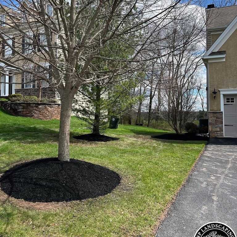 excellent landscaping and hardscaping of grass, stones and trees by NP Landscaping