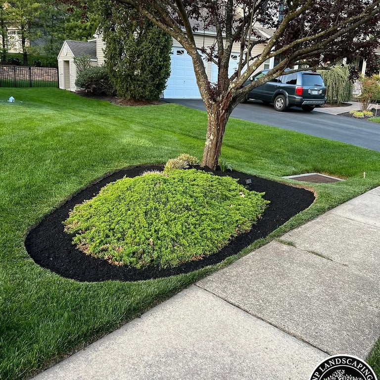 excellent landscaping and hardscaping of grass, stones and trees by NP Landscaping