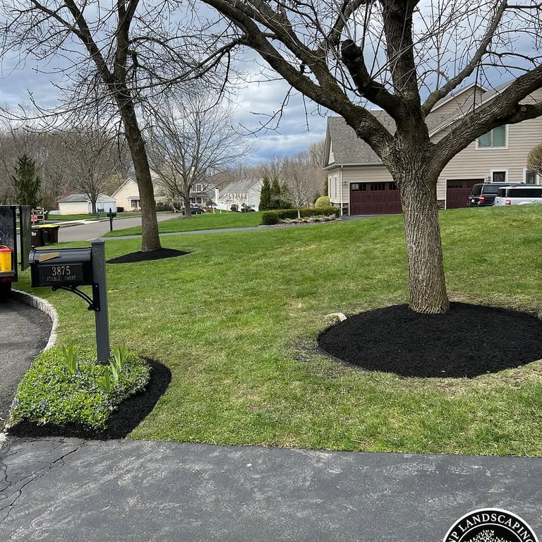 excellent landscaping and hardscaping of grass, stones and trees by NP Landscaping