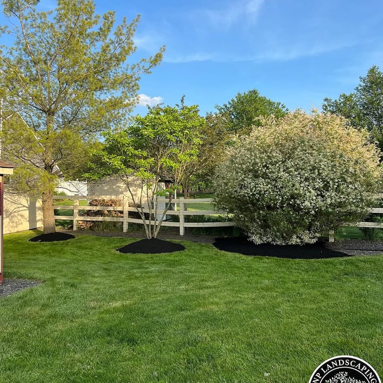 excellent landscaping and hardscaping of grass, stones and trees by NP Landscaping