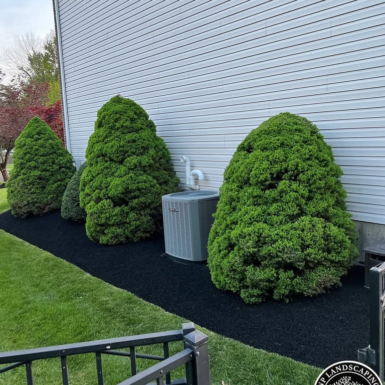 excellent landscaping and hardscaping of grass, stones and trees by NP Landscaping