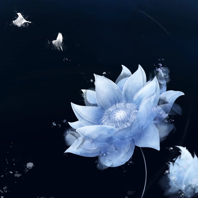 Illustrations - Neordart
