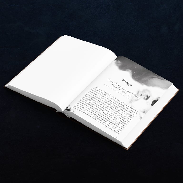 Mise en page - Neordart