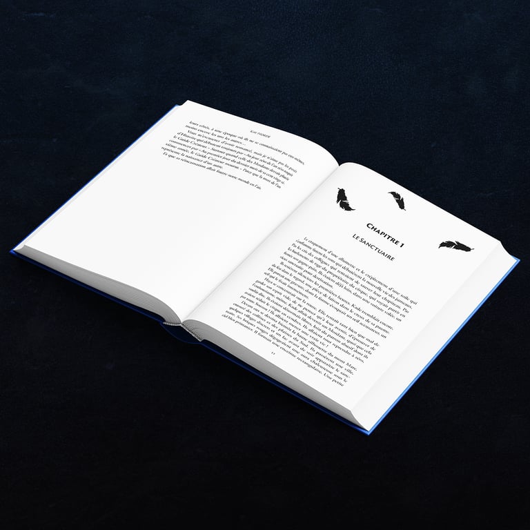 Mise en page, un service de Neordart.