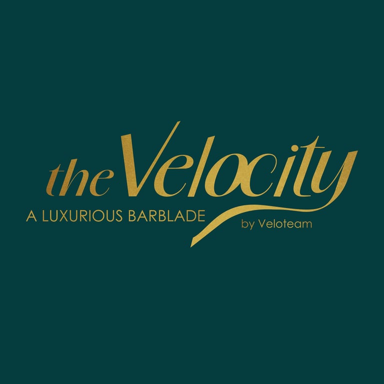 Logo the Velocity