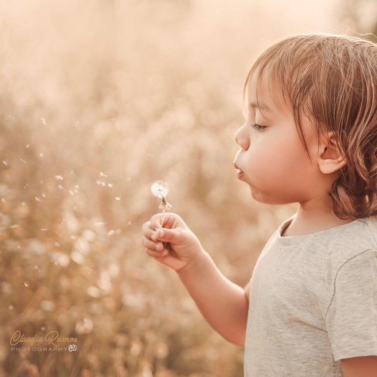 niño soplando un diente de león