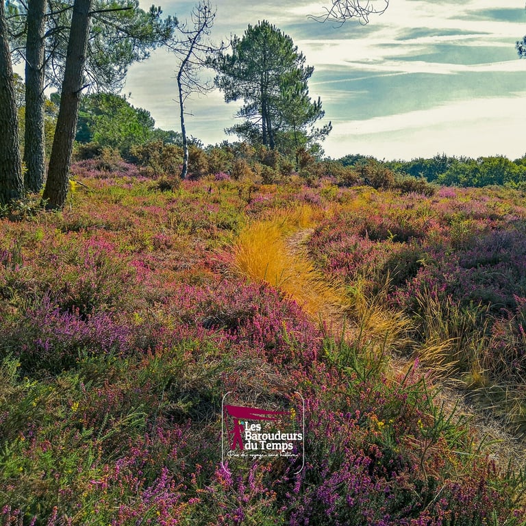 rochefort en terre bretagne
