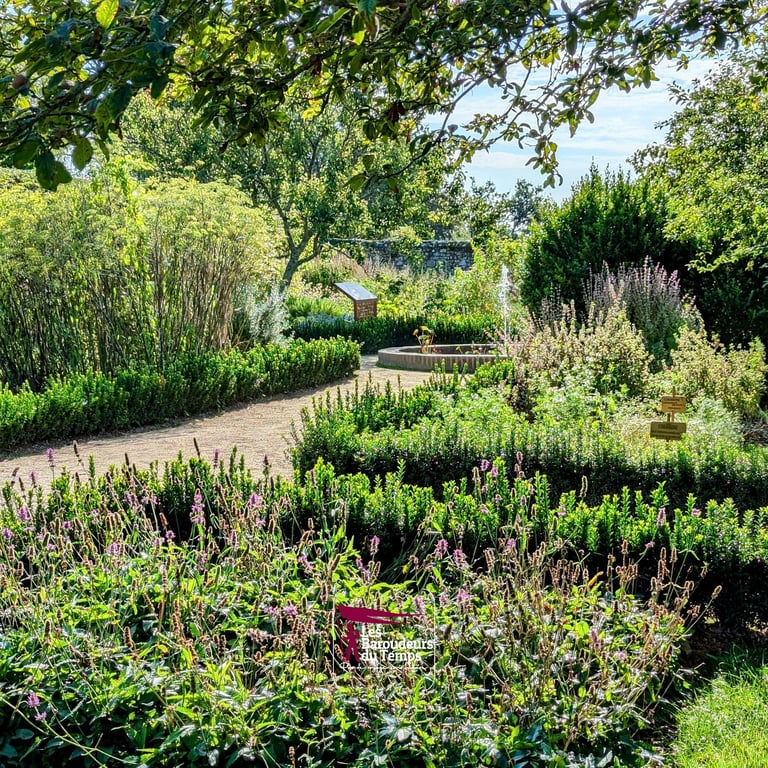 abbaye de daoulas finistere bretagne