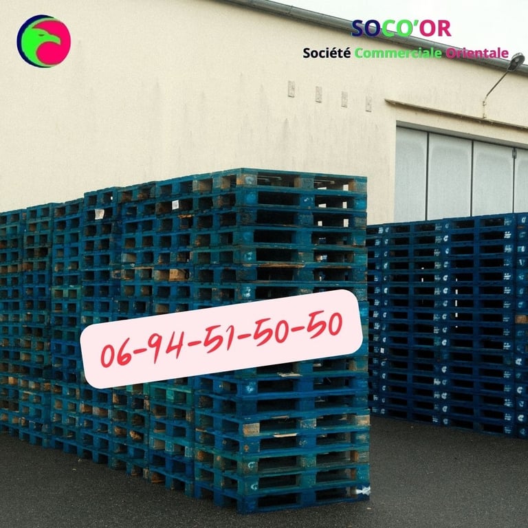 palette maroc prix