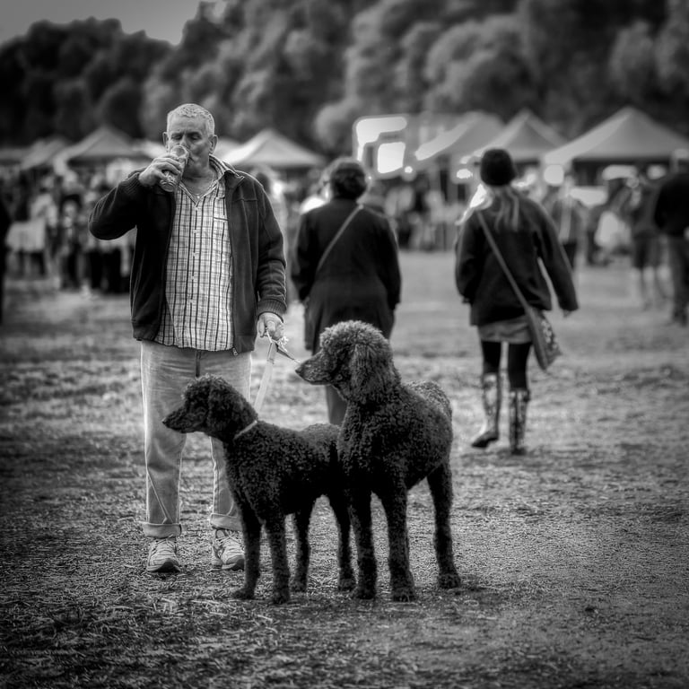 The street photography of Peter Pickering captures man drinking from a can with his 2 poodles beside