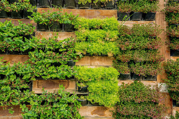decorative vertical garden with plants small space