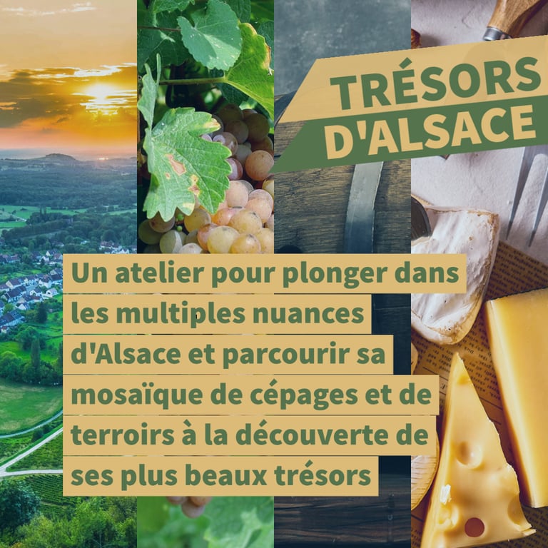 vins alsace cours oenologie lyon