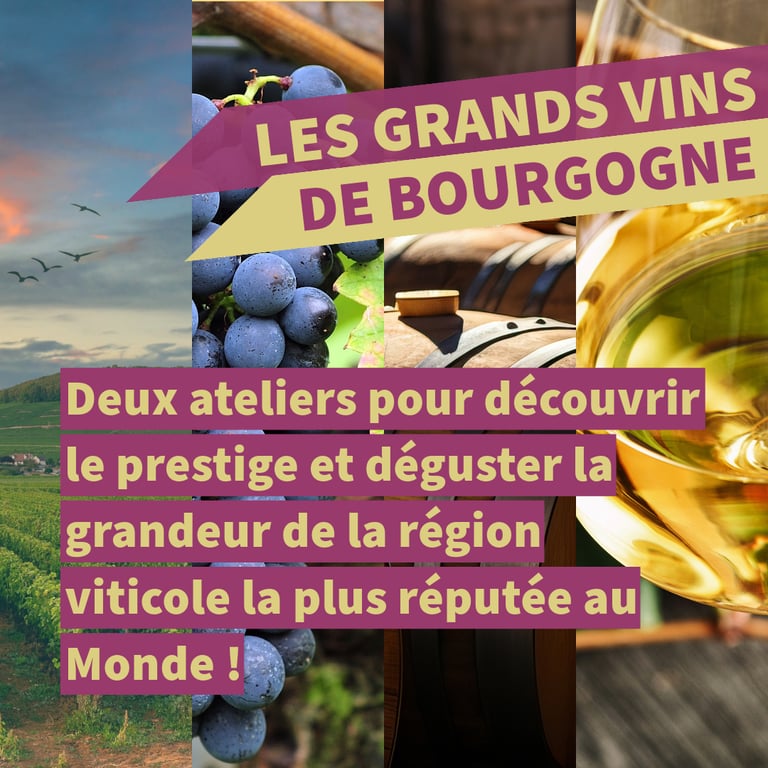 vins bourgogne cours oenologie lyon