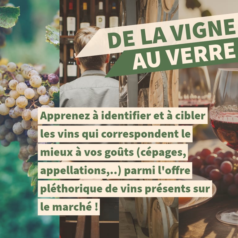 formation vin cours oenologie lyon